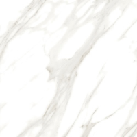 ราคา Cotto กระเบื้องปูพื้น คอตโต้ ชิคาโก้ ขาว 09676 (POL) 24X24 นิ้ว