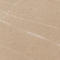 ราคา Cotto กระเบื้องปูพื้น คอตโต้ ฟอลคอน ซีเปีย (HYG) R10 16X16 นิ้ว