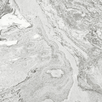 ราคา Cotto กระเบื้องปูพื้น คอตโต้ ไฮด์อเวย์ อัลไพน์ เทาอ่อน (HYG/P4) R10 R/T 24X24 นิ้ว