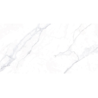 ราคา Cotto กระเบื้องปูพื้น คอตโต้ พาวิลเลี่ยน 24X48 นิ้ว สีขาว