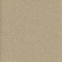 ราคา Cotto กระเบื้องปูพื้น คอตโต้ เซอร์จิโอ (II) มัดดี้ 8X8 นิ้ว