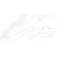 ราคา Cotto กระเบื้องปูพื้น คอตโต้ XP-เบียงโค่ วีนัส (ION) POL R/T 12X24 นิ้ว