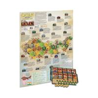 ราคา Dice Cup Board Game Catan Scenario: Rickshaw Run Expansion บอร์ดเกม (MKP1217205)