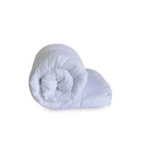 ราคา LUCKY MATTRESS ผ้านวม Micro Touch Premium ขนาด 3.5 ฟุต (152 x 203 cm.) ลาย MP 001 สีขาว (MKP1171745)