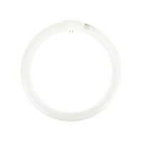 ราคา PHILIPS หลอดไฟนีออนกลม สีเดย์ไลท์ กำลัง 32 วัตต์ PHILIPS รุ่น TLE32/54 (MKP1149115)