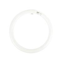 ราคา PHILIPS หลอดไฟนีออนกลม สีเดย์ไลท์ กำลัง 32 วัตต์ PHILIPS รุ่น SUPER TLE32/865 (MKP1149127)