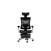 ราคา ERGONOZ THORA Professional Ergonomic เก้าอี้เพื่อสุขภาพ เก้าอี้คอมพิวเตอร์ สีดำ (EGN-THORA-B) (MKP1721895)