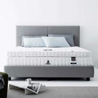 ราคา DUNLOPILLO ท็อปเปอร์ รุ่น Extremo Foam หนา 2 นิ้ว สีขาว 6 ฟุต (MKP0856968)