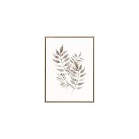 ราคา Chic Republic ภาพติดฝาผนัง LEAF-I/45x60 สี หลากสี (MKP1323646)