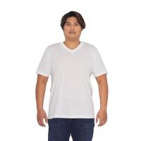 ราคา DOUBLE GOOSE เสื้อคอวี สีขาว ตราห่านคู่ รุ่นคลาสสิก พลัสไซซ์ 6XL (MKP1047327)