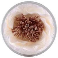 ราคา Reunrom รื่นรมย์ ดอกแมกโนเลียประดิษฐ์จากต้นโสน 35 กรัม (MKP1284863)