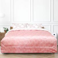ราคา Slumberland เซ็ทผ้าปูที่นอน 5 ชิ้น รุ่น ELLAND 6 ฟุต สีชมพู/ขาว (MKP1471838)