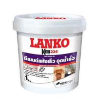 ราคา LANKO ซีเมนต์อุดรอยรั่วซึมชนิดแห้งเร็ว รุ่น 224 ขนาด 1 กก. สีเทา (MKP1357076)