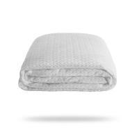 ราคา BEDGEAR ผ้ารองที่นอนกันเปื้อน รุ่น Dri-Tec ขนาด 5 ฟุต (MKP0920985)