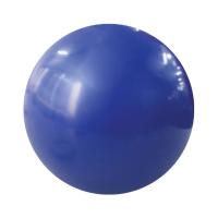 ราคา FBT ลูกบอลน้ำหนักสำหรับออกกำลังกาย Toning Ball NO.020 รหัส 68-567 สีน้ำเงิน (MKP0924557)