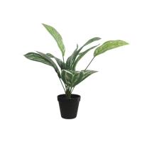 ราคา Madam Khajee ต้นคล้าใบตองเสมือนจริง ความสูง 38 ซม. สีธรรมชาติ (MKP1047502)