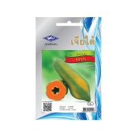 ราคา Chia Tai HG มะละกอ แขกดำ จำนวน 10 เมล็ด (MKP0772585)