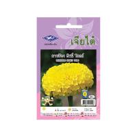 ราคา Chia Tai HF ดาวเรือง ฮันนี่โกลด์ จำนวน 10 เมล็ด (MKP0772572)