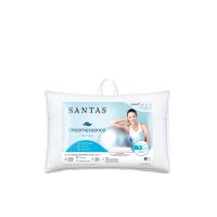 ราคา SANTAS หมอนกอด Dreamessence ขนาด 18x50 นิ้ว สีขาว (CDS16871557)