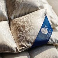 ราคา OMAZZ ไส้ผ้านวมขนเป็ด รุ่น Icelandic Eider duck Down (MKP1025836)