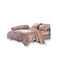 ราคา JESSICA BEDDING ชุดผ้าปูที่นอน 6 ฟุต 6 ชิ้น (คิงไซส์) รุ่น TENCEL 500 เส้นด้าย T857 สีน้ำตาลอ่อน (MKP1873925)