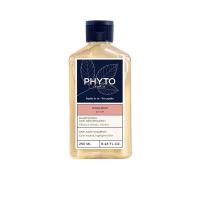 ราคา PHYTO คัลเลอร์ แอนตี้-เฟด แชมพู 250 มล. 250 mL (CDS97210245)