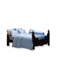 ราคา JESSICA BEDDING ผ้านวมบุใย 90x100 นิ้ว (คิงไซส์) รุ่น JACQUARD SILKSHINE 500 เส้นด้าย QP002 สีฟ้าอ่อน (MKP1872826)