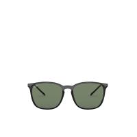 ราคา RAY-BAN แว่นกันแดดยูนิเซ็กส์ Erika Family รุ่น RB4387F 901/71 55 เลนส์สี เขียวเข้ม 55mm (CDS17433037)
