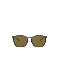 ราคา RAY-BAN แว่นกันแดดยูนิเซ็กส์ Erika Family รุ่น RB4387F 902/73 55 เลนส์สี น้ำตาล 55mm (CDS17433020)