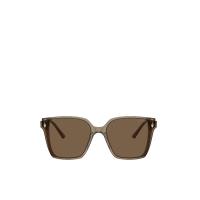 ราคา JIMMY CHOO แว่นกันแดดผู้หญิง รุ่น JC5016D 505173 61 เลนส์สีน้ำตาล (CDS17433990)