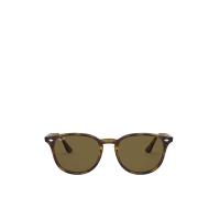 ราคา RAY-BAN แว่นกันแดดยูนิเซ็กส์ Casual Classic รุ่น RB4259F 710/73 53 เลนส์สี น้ำตาล 53mm (CDS17431736)