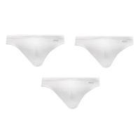 ราคา ARROW กางเกงใน Cotton ทรง Bikini แพ็ค 3 ชิ้น สีขาว รุ่น XM93CWH XL (GRMKPPR000056053)