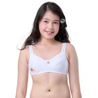 ราคา WACOAL เสื้อชั้นในเด็ก Bloom Step 3 Collection Plaifah.postcard สีขาว B70 (MKP1947144)