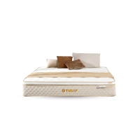 ราคา TULIP ที่นอนระบบพ็อกเก็ตสปริง รุ่น SYDNEY(ซิดนีย์) เสริม Topper Soft แบบกล่องสุญญากาศ หนา 10.5 นิ้ว ขนาด 6 ฟุต สีครีม (MKP1947572)