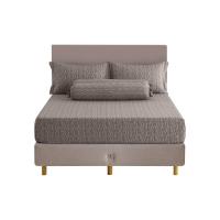ราคา ELLE DECOR ผ้าปู 6ฟุต 5ชิ้น รุ่น PARIS SIMPLICITE - PALMIER สีน้ำตาล (MKP1708826)