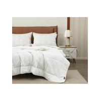 ราคา ESQUIRE ผ้าห่มนวม Micro-spandex ขนาด 60x80 นิ้ว (GRCDS11524110425)