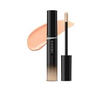 ราคา Kanebo คอนซีลเลอร์ Designing Color Liquid (CDS93900089)