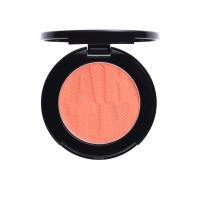 ราคา Arty Professional บลัชออน สี F4 3.5 กรัม (CDS27592441)