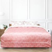 ราคา Slumberland เซ็ทผ้าปูที่นอน 3 ชิ้น รุ่น ELLAND 3.5 ฟุต สีชมพู/ขาว (MKP1471836)