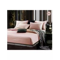 ราคา SANTAS ชุดผ้าปูที่นอน ขนาด 3.5 ฟุต 2 ชิ้น (หน้า B) รุ่น โดเวย์ คอลเลคชั่น (707) ทวินไซส์ สีโอลด์โรส Twin (CDS22052674)