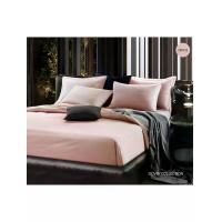 ราคา SANTAS ปลอกผ้านวม ขนาด 3.5 ฟุต 1 ชิ้น (หน้า B) รุ่น โดเวย์ คอลเลคชั่น (707) ทวินไซส์ สีโอลด์โรส Twin (CDS22052636)