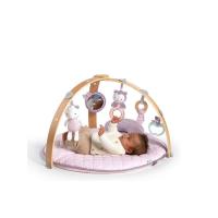 ราคา BRIGHT STARTS เพลย์จิม Gym สำหรับเด็กแรกเกิด รุ่น Cozy Spot Reversible Duvet (CDS70458015)