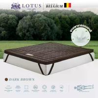 ราคา LOTUS ท็อปเปอร์ รุ่น FORESTEX II DARK BROWN 6ฟุต หนา3นิ้ว (MKP1294666)