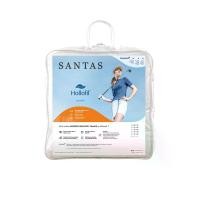 ราคา SANTAS ไส้ผ้านวม ขนาด 100X90 นิ้ว รุ่น HOLLOFIL สีขาว (CDS13357993)