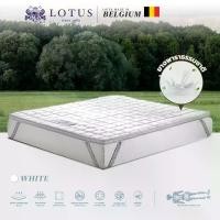 ราคา LOTUS ท็อปเปอร์ รุ่น FORESTEX I WHITE 5ฟุต หนา2นิ้ว (MKP1294648)