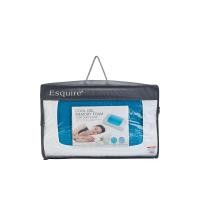 ราคา ESQUIRE หมอน Contour Gel Memory Foam รุ่น LBDNG002NEW ขนาด 55X35X11 ซม. สีฟ้า (CDS83494222)