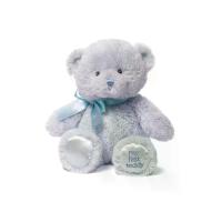 ราคา GUND ตุ๊กตาผ้าขน Baby My 1st ลายหมี Teddy ขนาด 10 นิ้ว สีฟ้า (CDS16034693)