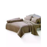 ราคา JESSICA BEDDING ชุดผ้าปูที่นอน 6 ฟุต 6 ชิ้น (คิงไซส์) รุ่น JACQUARD SILKSHINE 500 เส้นด้าย QS767-1 สีเบจ (MKP1873910)