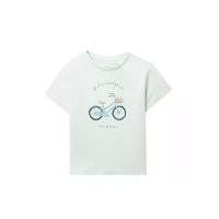 ราคา SFERA KIDS เสื้อยืดเด็กโตผู้หญิง Positional สีเขียวอ่อน 6 EU (CDS18952797)