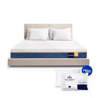 ราคา Solomon Mattress ที่นอนยางพารา รุ่น Sunshine 6ฟุต หนา6นิ้ว แถมหมอนหนุน 2 ใบ (MKP2018781)